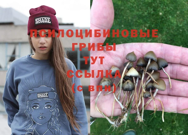 прущая мука Алзамай