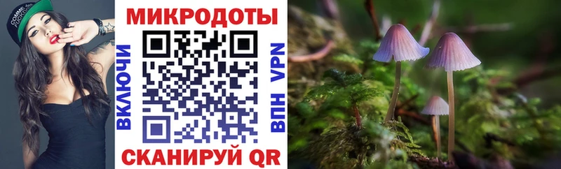 Купить  Теберда  Псилоцибиновые грибы мицелий 