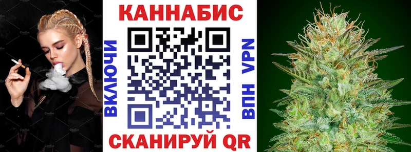 Купить где  Теберда  Каннабис план 